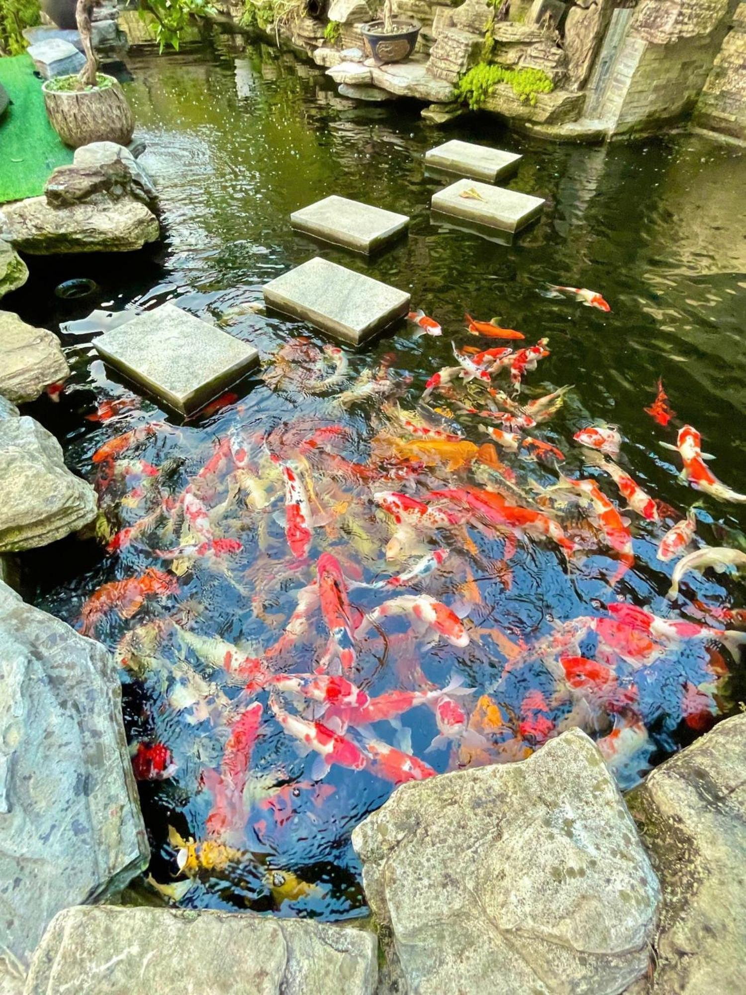 Chuon Chuon Villa Homestay Tam Dao Luaran gambar