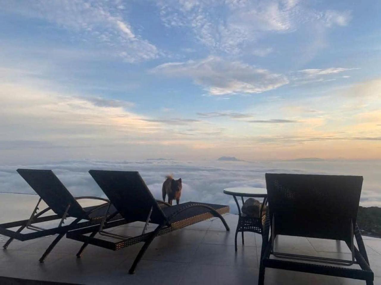Chuon Chuon Villa Homestay Tam Dao Luaran gambar